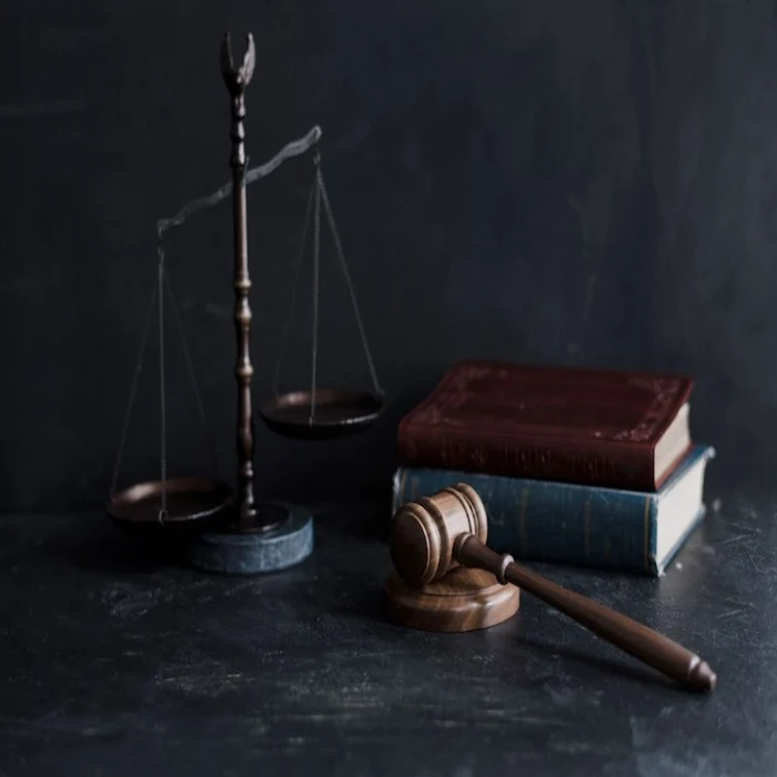 أفضل محامي دعاوى نسب